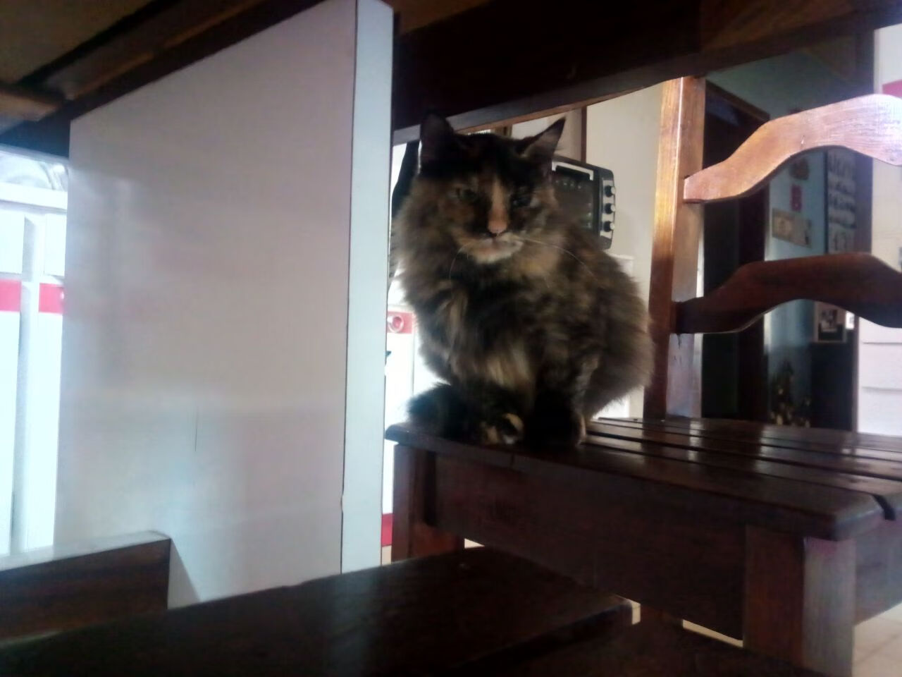 “逆转巅峰：最令人振奋的比赛逆转瞬间”，逆转2021