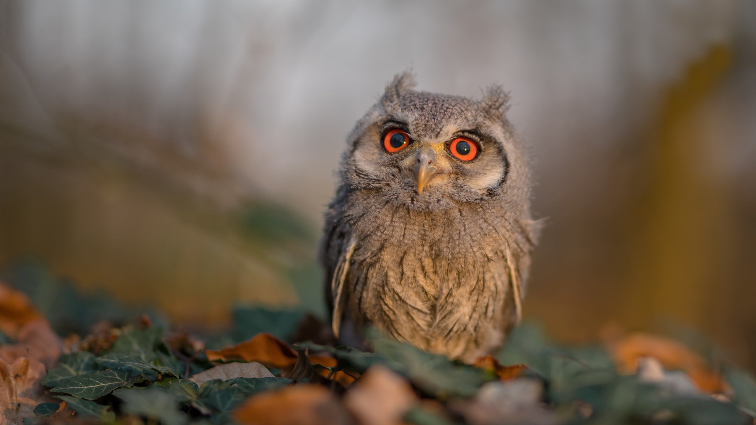 《《使命召唤：现代战争3》强化枪械系统，体验更真实》，使命召唤现代战争3剧情攻略