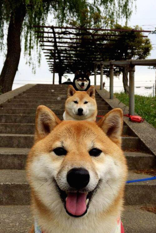 【冠军秘诀】奥沙利文的训练日常，细节决定成败，奥沙利文的陪练